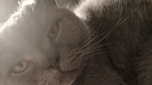 Первая трансляция снимаю с другом заходите!