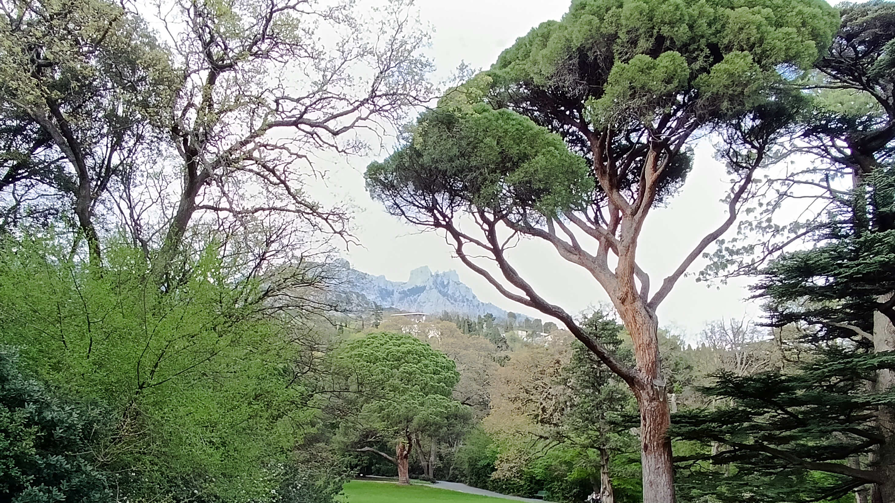 Немного о себе...