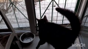 Какая несправедливость.