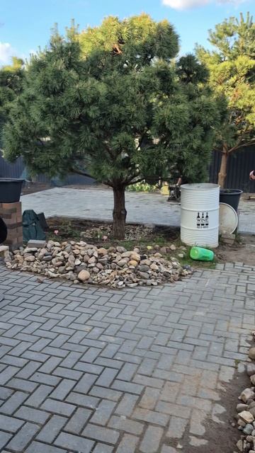 Площадка под бассейн из брусчатки.