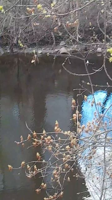 MOV_20260418_153147_036.mp4