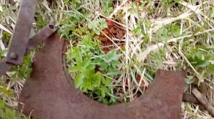 память земли. коп по войне.военная археология.