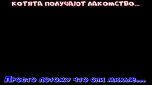 Котятки,лапки-царапки