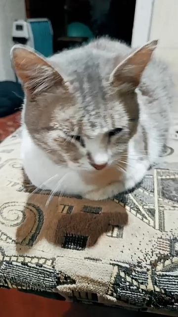 Маня как всегда 😆