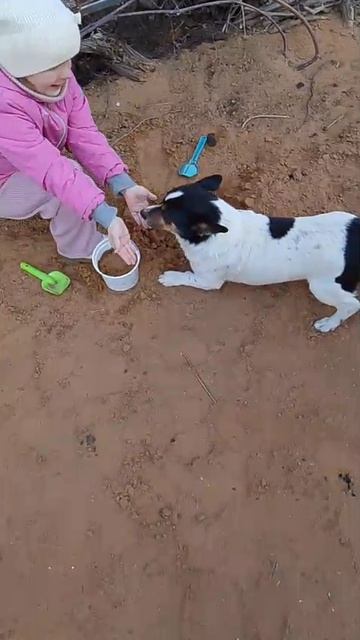 У бабушки с дедушкой в гостях🐶🦆🐣