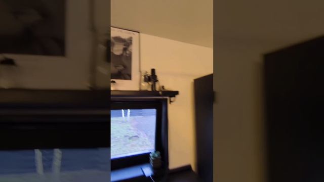 БарнЛайф 154.mp4