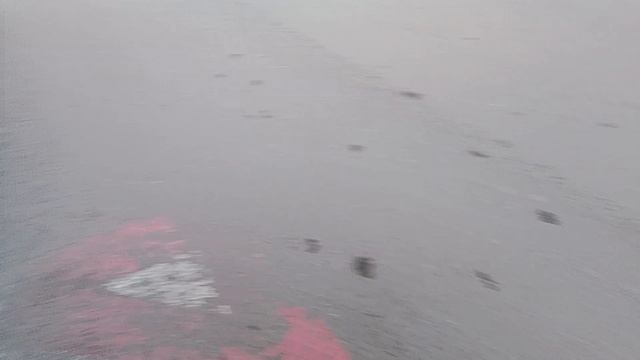 прятки на улице