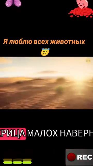 Животные-приколы и не только😉😅