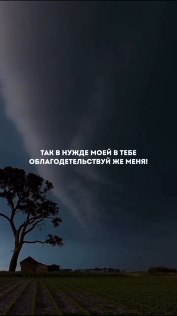 VID-20260416-WA0023.mp4