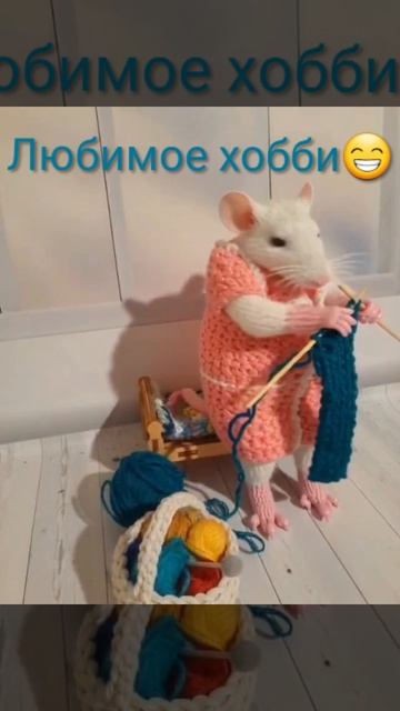 InShot_20260415_183504873