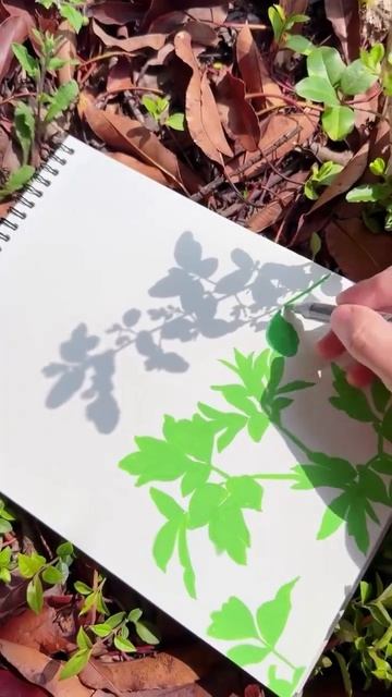 Рисование на природе 🌱