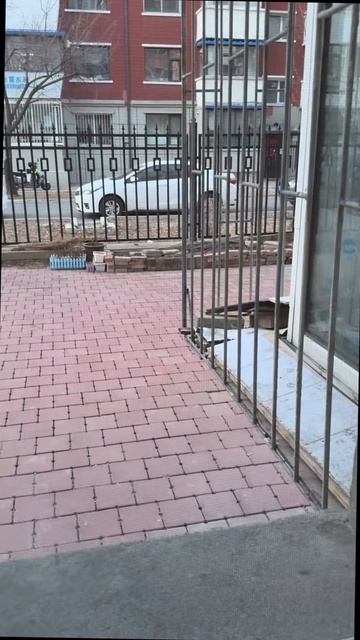 Вот так я обычно ищу свою кошку