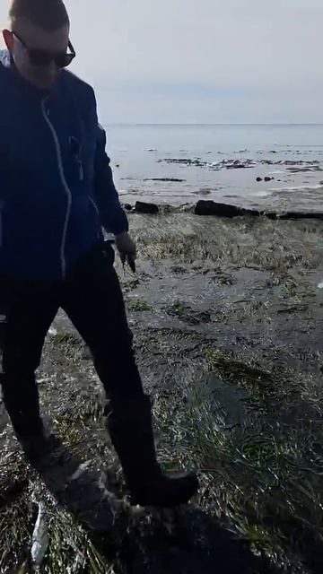 Рыбалка на Сахалине. Сельдь в прилове.