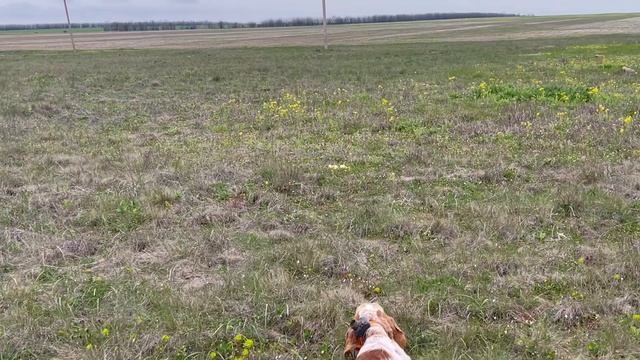 Норман. 18.04.26