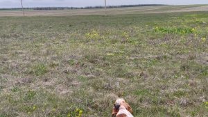 Норман. 18.04.26