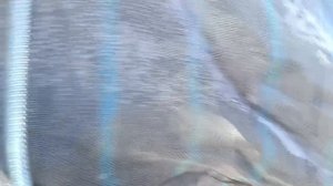 VID_20260418_081156_611