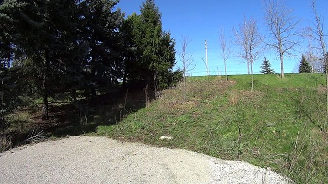 Криминальный крикет Канады.