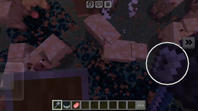 делаю вардена бей яйца