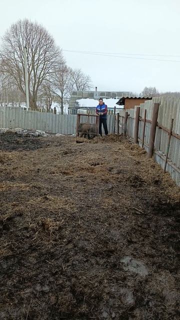 Охота на Кабана