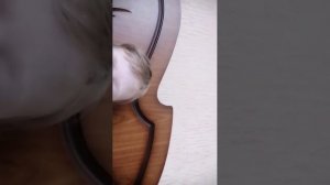 Стрим по гд