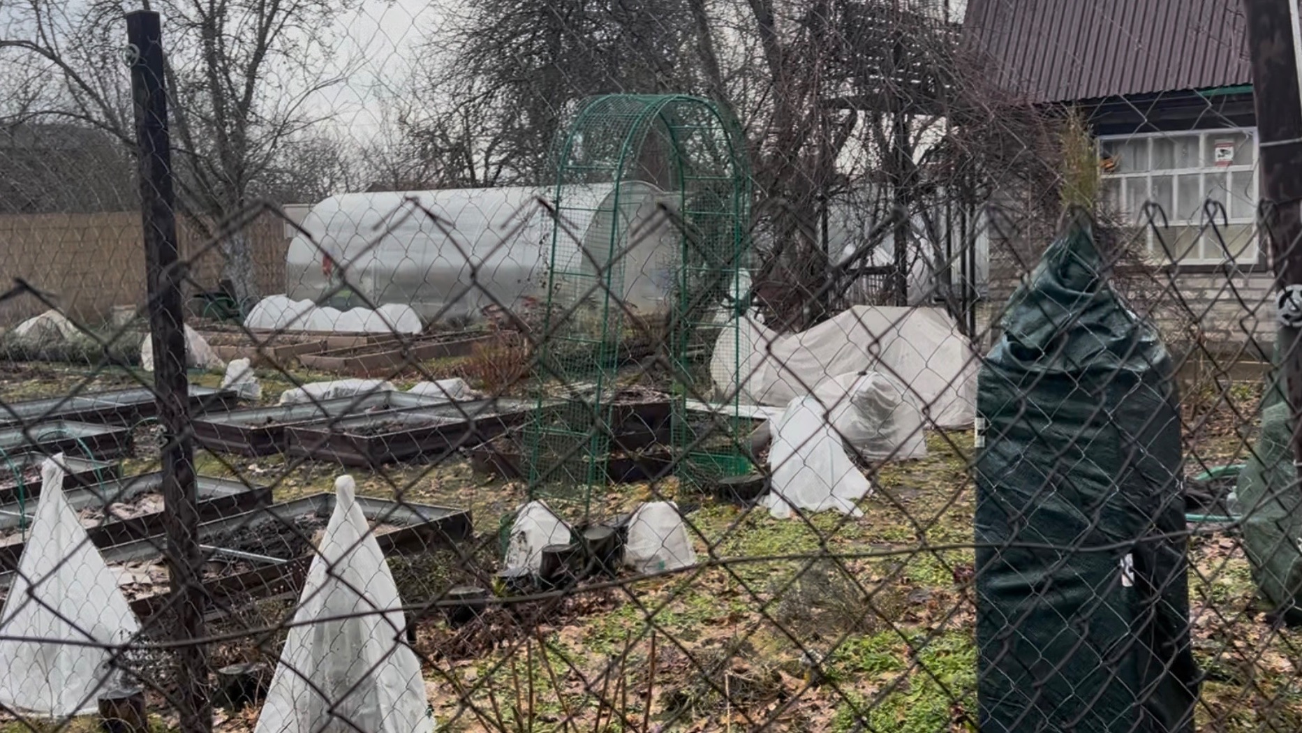 Дача у леса. Середина апреля, только сошел снег, снимаю укрытия