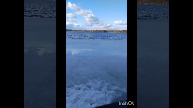 В заповеднике