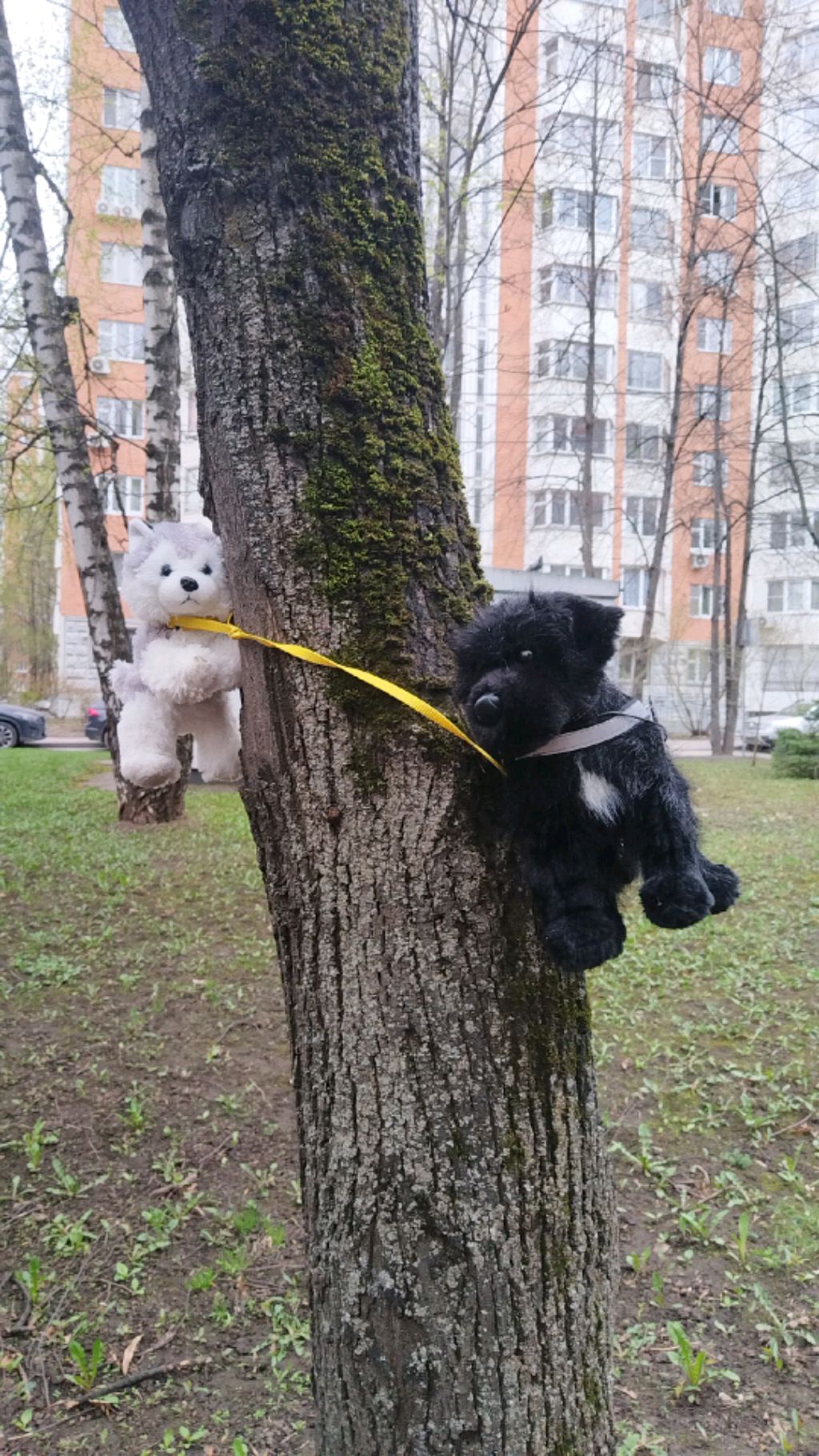 делаю антистресс