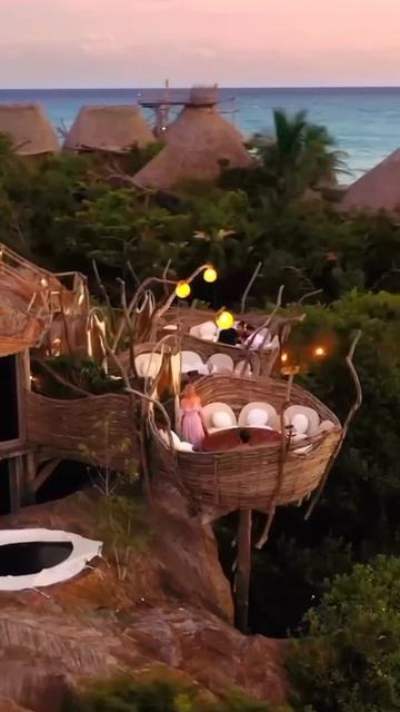 Ресторан Кин То в виде гнездышек