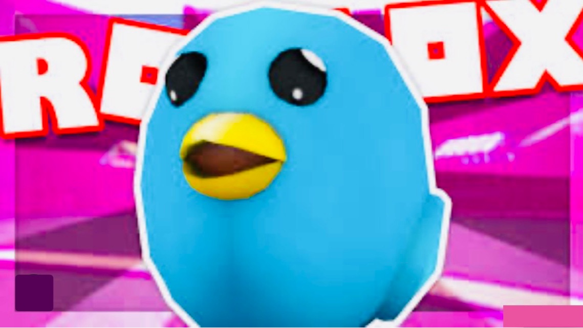 Моя игрушка птичка робустера