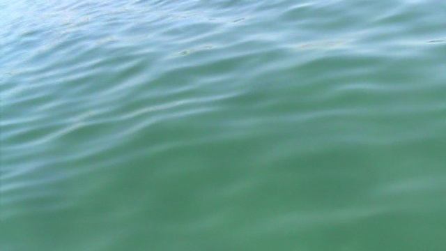 30)Л ДЖЕМЕТЕ КАТАМАРАН