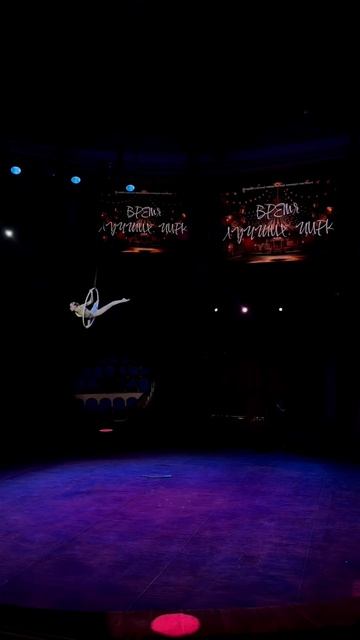 приехала,победила,уехала 🎪🏆