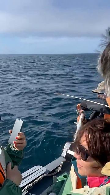 Экскурсия к маяку Анива на Сахалине. Как это? сахалин