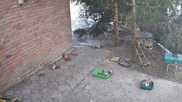 дела домашние 18апреля