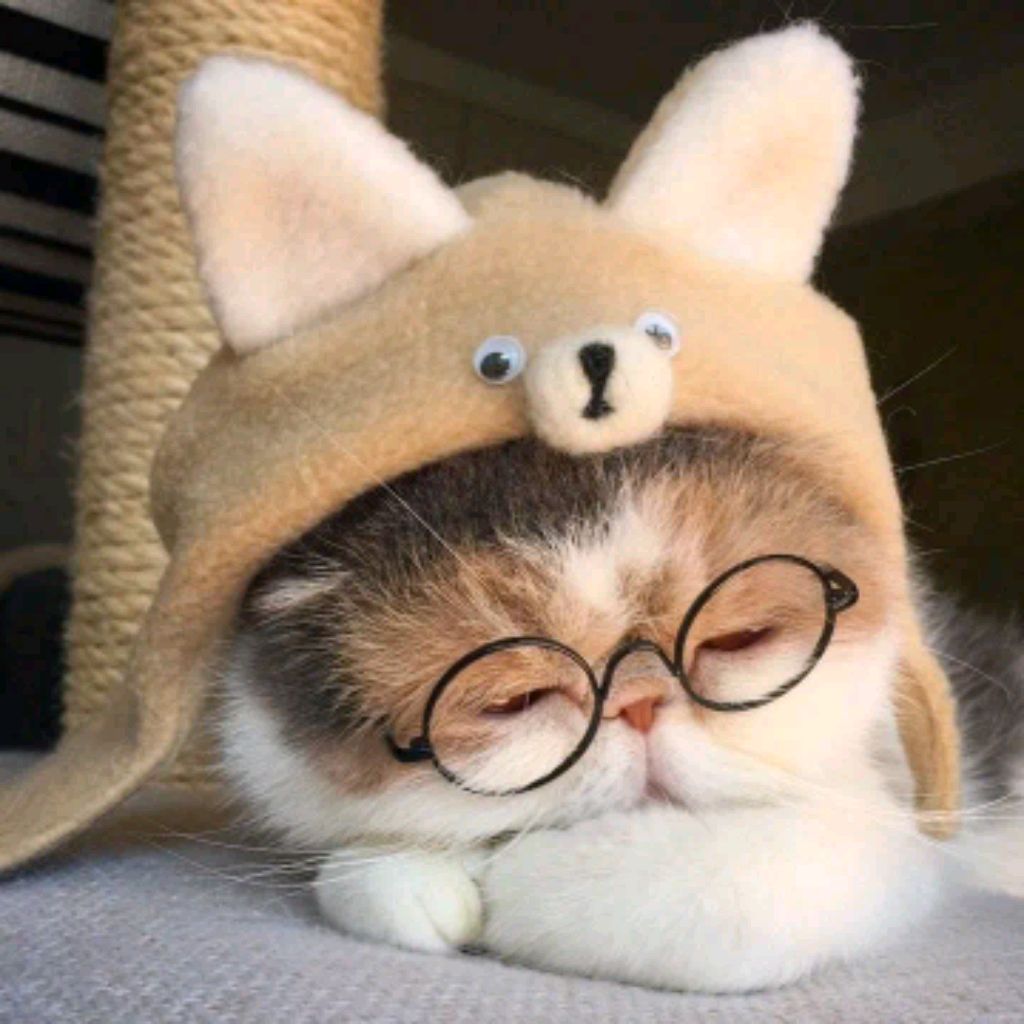 пробуем слаймы(хлебцы)