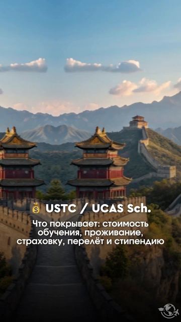 Лучшие СТИПЕНДИИ для учебы в Китае🇨🇳 Как их получить? Инструкция уже на канале!