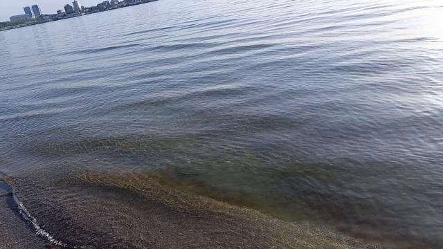 (1) Анапа 🌊Пионерский проспект🐬 17.04.26 г