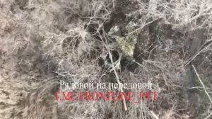 🇷🇺🎮Специалисты войск беспилотных систем в составе 11-го армейского корпуса группировки войск…🔽