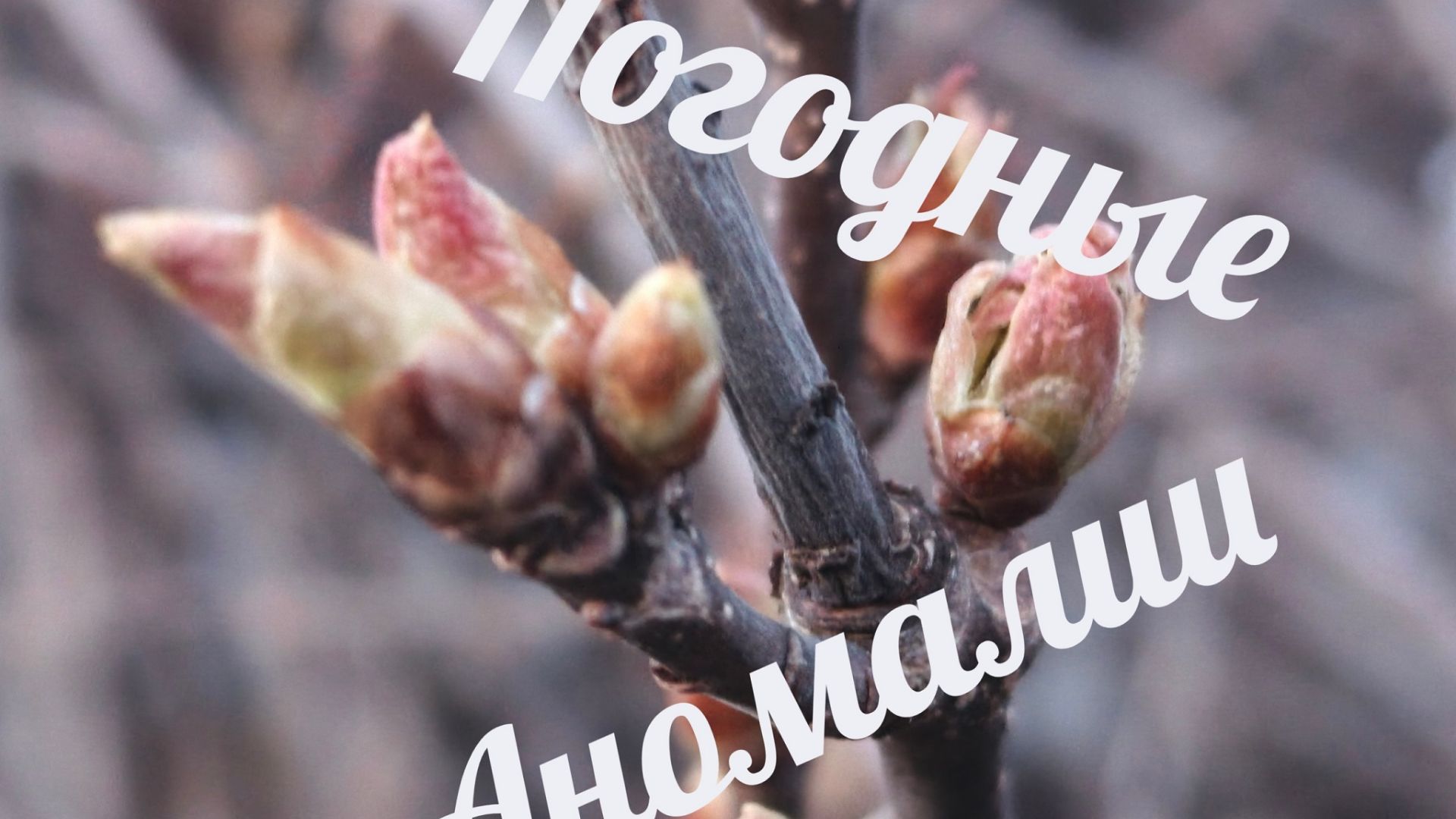 Погодные аномалии