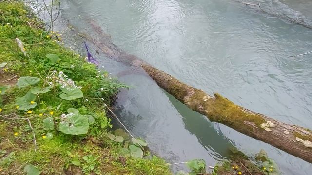 Абхазия, 18 апреля 2026, сходил за водой