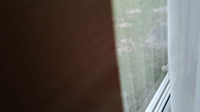 💗Басистка★/ТВ Сигма🐱