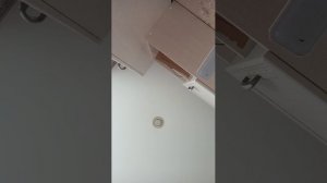 рщршргзтьд