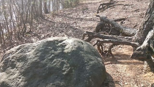 Древнейшая система Тотемов