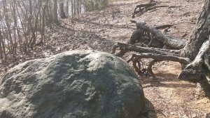 Тотемные духи Зороастризма