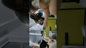 распаковка из золотого яблока
ЛИМИТИРОВАННАЯ КОЛЛЕКЦИЯ MIXIT 🎀