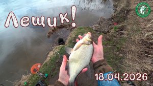 ПОКЛЁВКИ КРУПНЫМ ПЛАНОМ, ПОЛОВИЛ ЛЕЩИКА НА ПРУДУ В ДВУХ ШАГАХ ОТ ДОМА НА ФИДЕР, РЫБАЛКА НА УРАЛЕ!