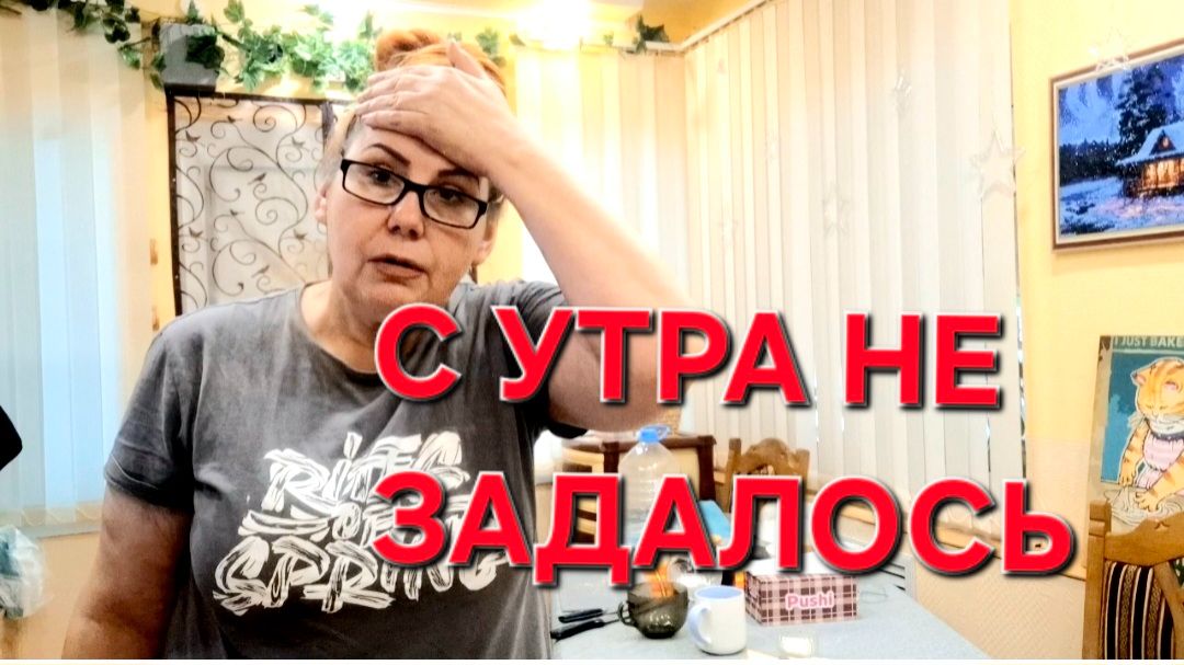 1181 С утра не задалось. Даже позавтракать не успеваем. Вот она ! Реальная жизнь на юге.