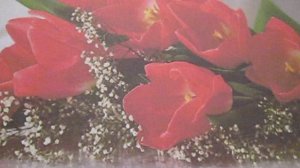 20 - 26 апреля