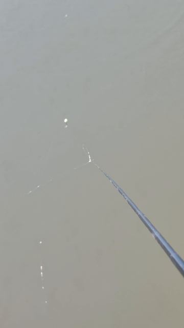 Рыбалка на поплавок