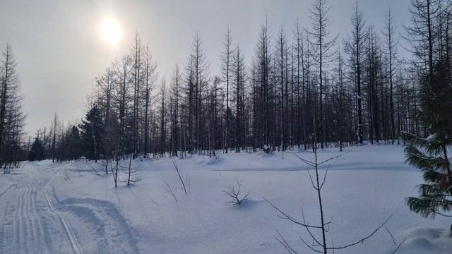Сладкий пирог /прогулка по Новому Уренгою/ Наслаждаюсь солнышком/Наш МАРТ