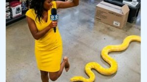 Прикольный Розыгрыш Со Змеей